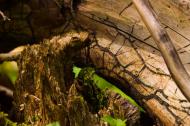 image object-05-jpg
